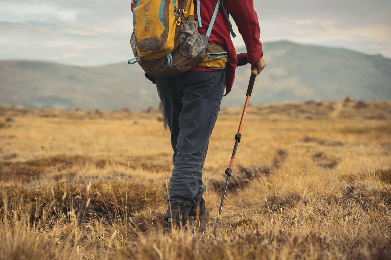 14a EDIZIONE DELLE PASSEGGIATE