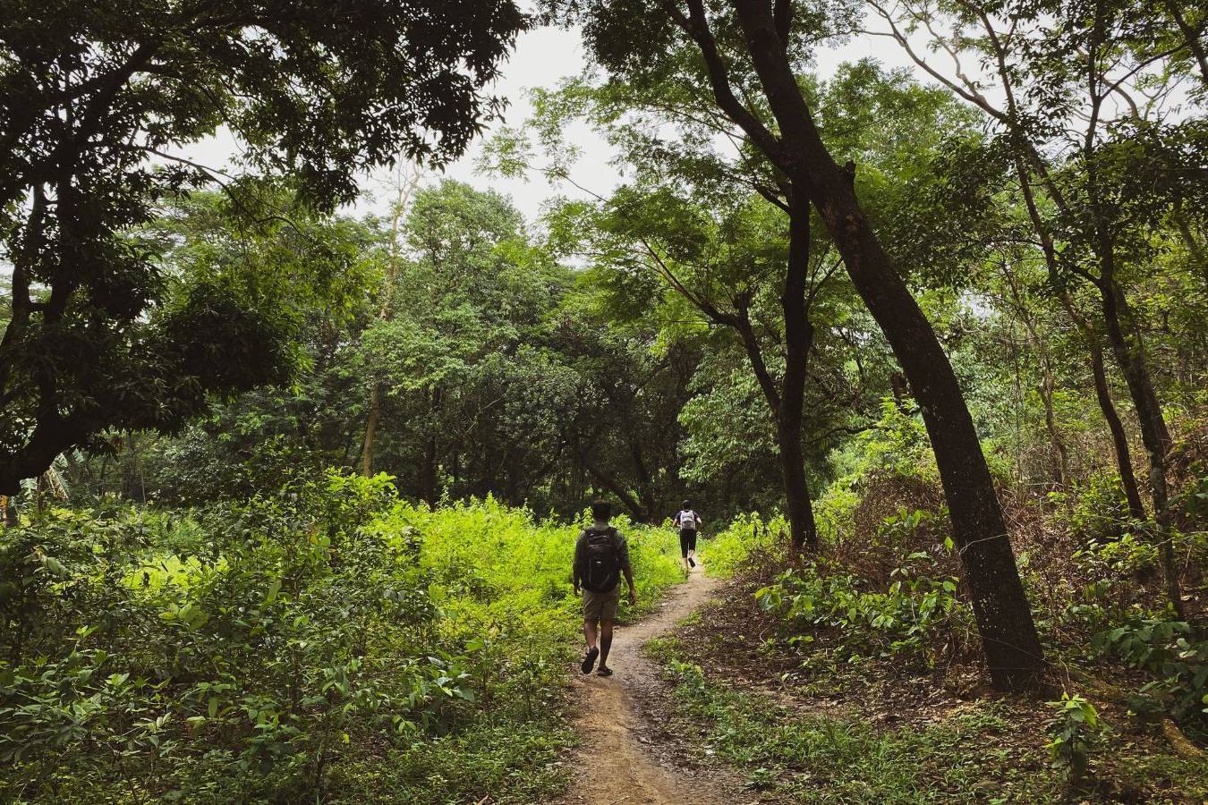 PASSEGGIATE ESTIVE SERALI