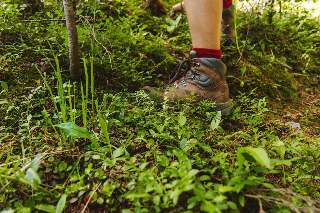 ANTICO TRAIL DEL CONTRABBANDIERE