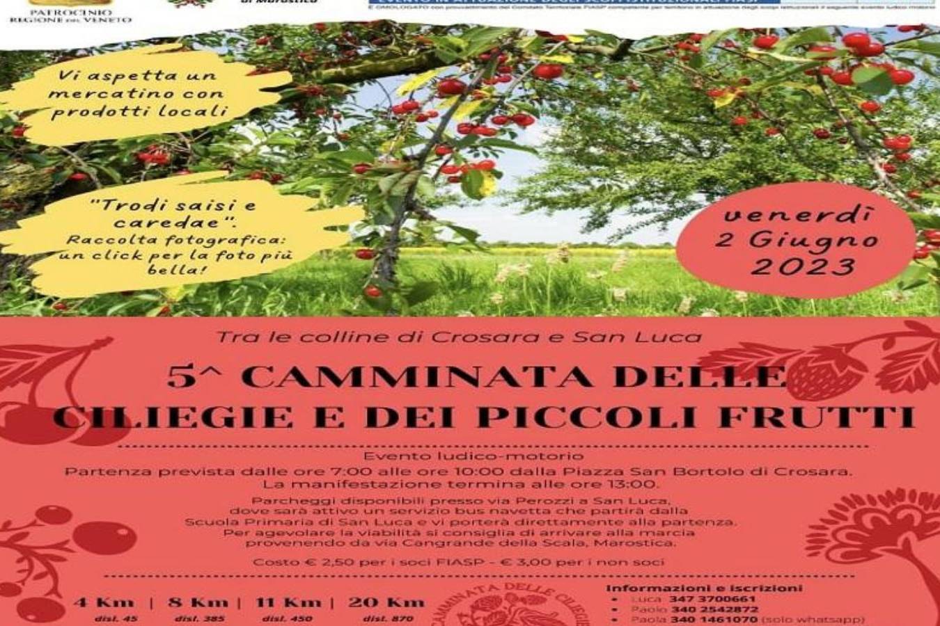 5a CAMMINATA DELLE CILIEGIE E DEI PICCOLI FRUTTI