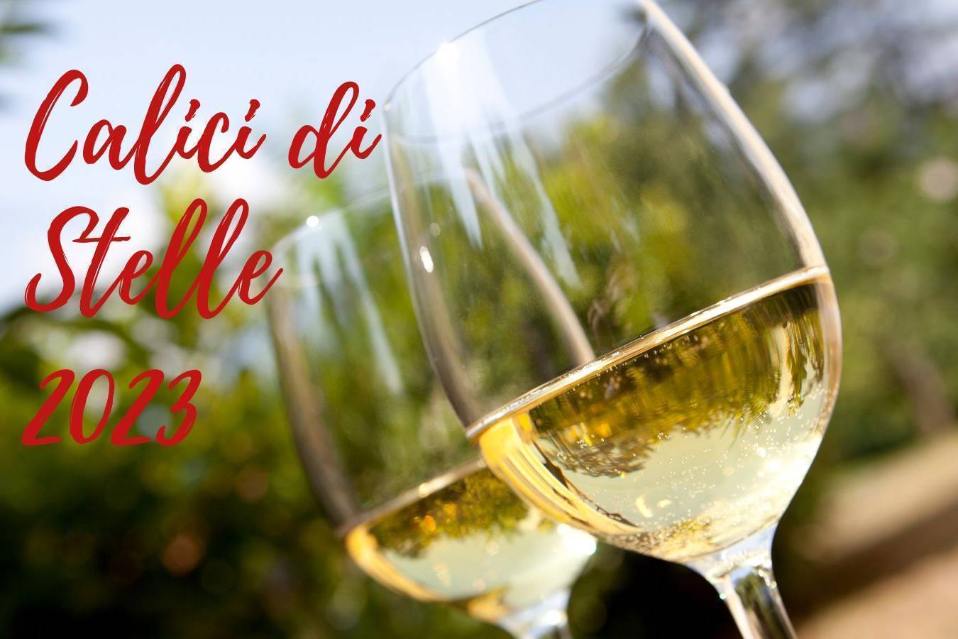 CALICI DI STELLE 2023 - ASOLO