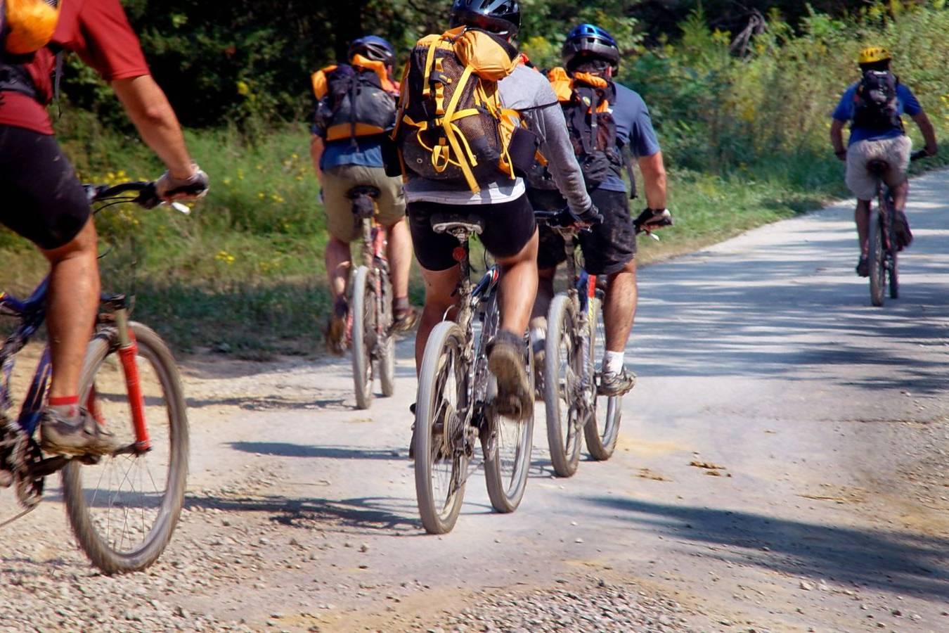 BIKE TOUR a Loreggia