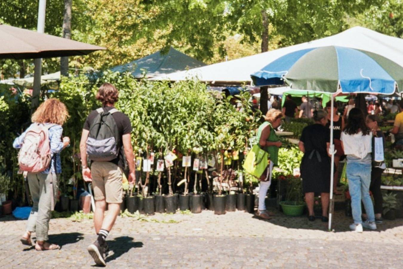 MERCATO DEL  LUNEDì STRAORDINARIO 