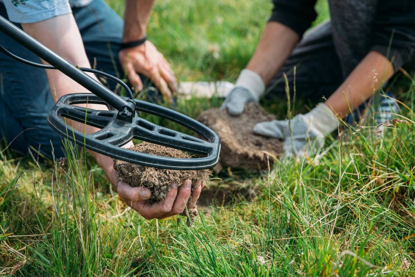 VI Corso propedeutico