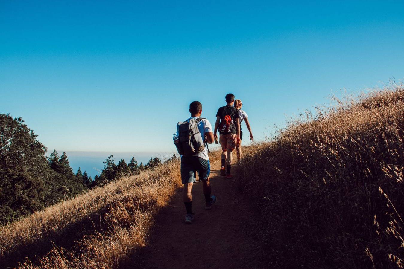 FESTIVAL FUORIBOSCO: IL PIANISTA SUL MAGGIOLONE