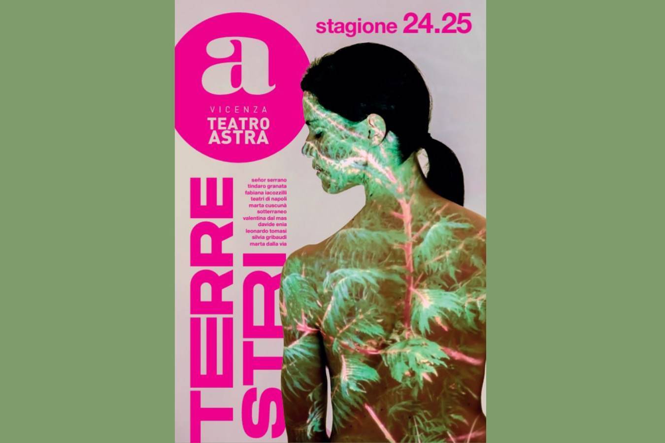 CORVIDAE. SGUARDI DI SPECIE