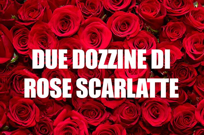 Due dozzine di rose scarlatte