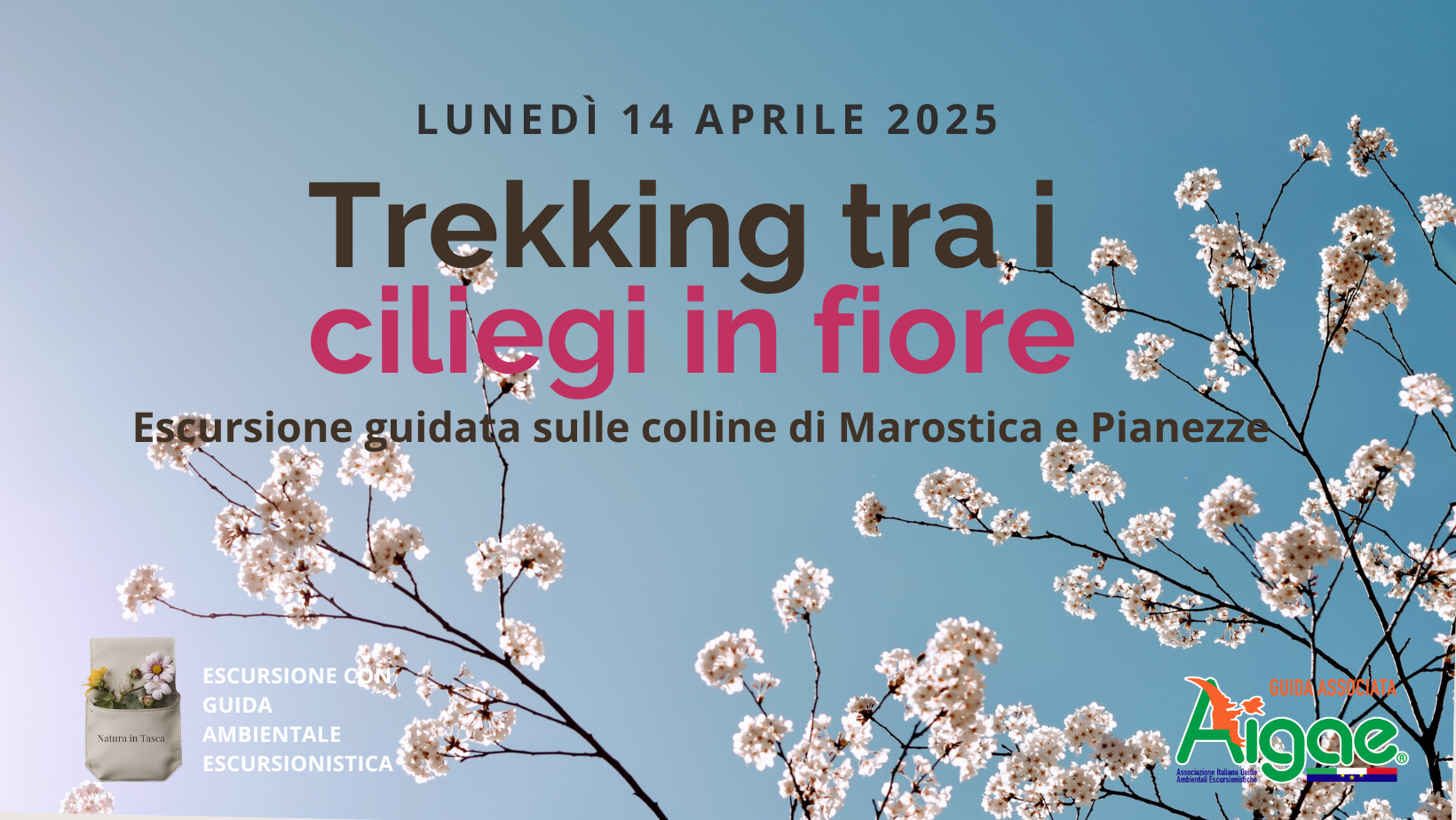 TREKKING TRA I CILIEGI IN FIORE SUI COLLI DI MAROSTICA