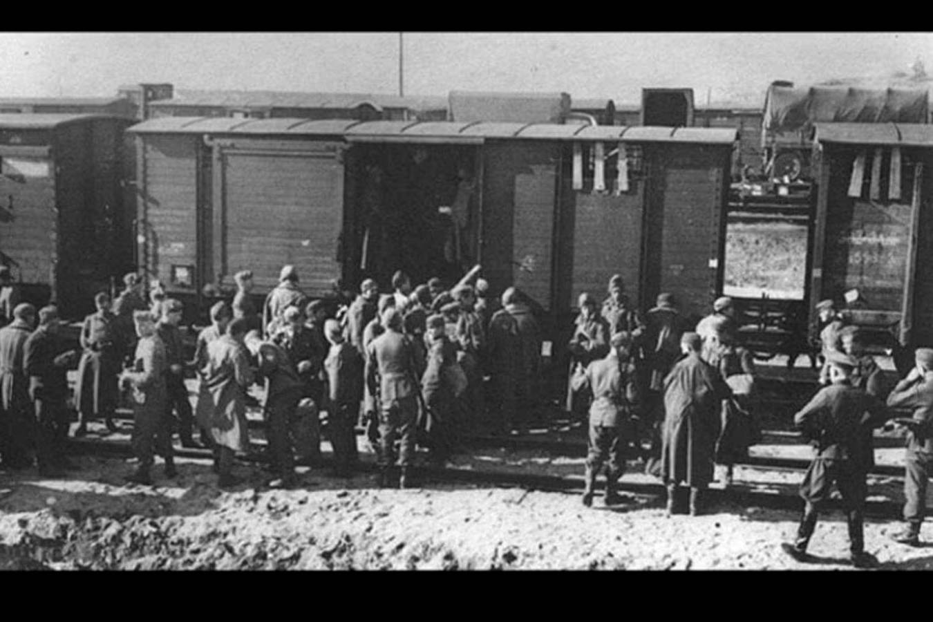 Ritornammo liberi – Storie di Internati Militari Italiani (IMI) nei lager nazisti, 1943-1945. 