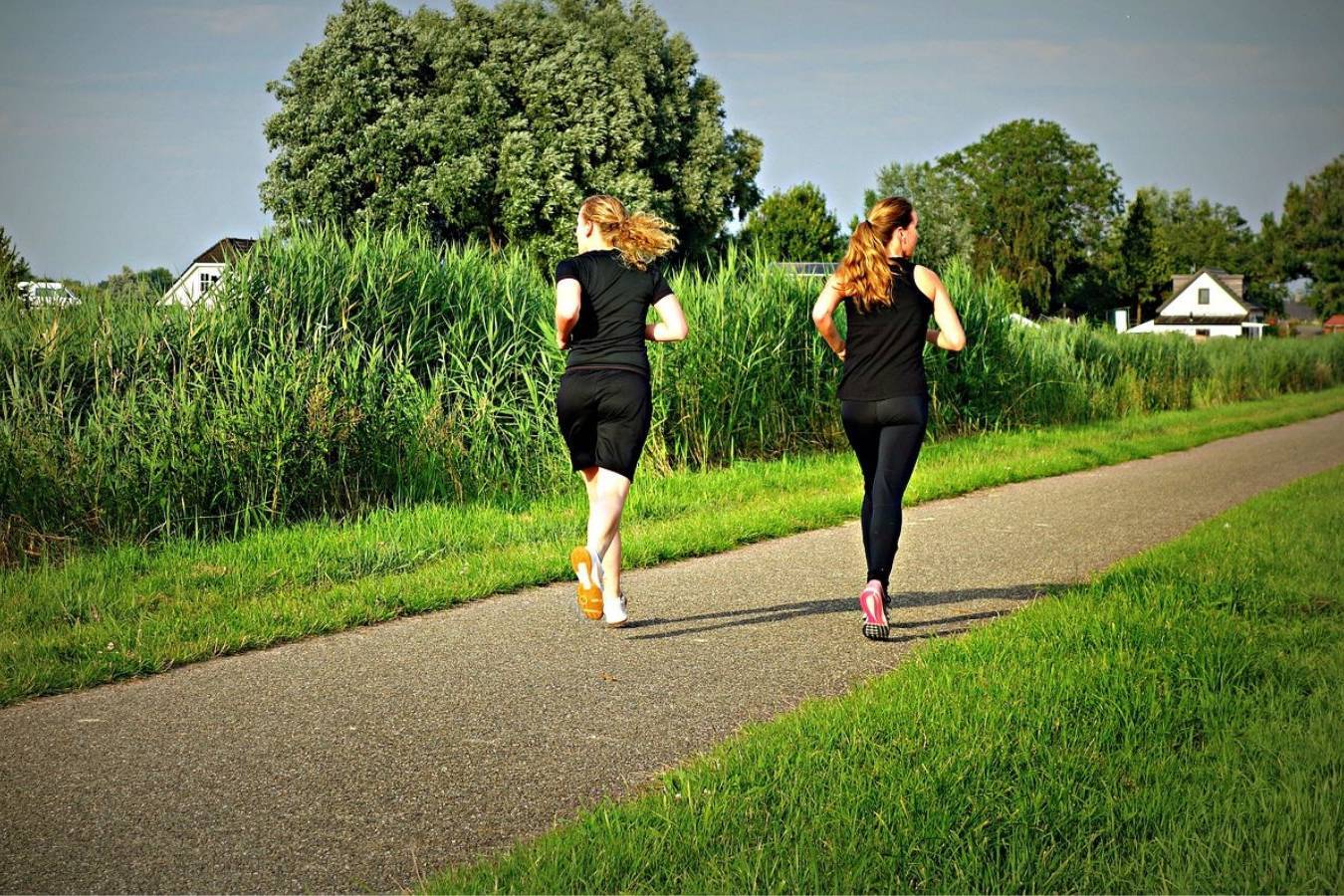 CASTELFRANCO IN ROSA