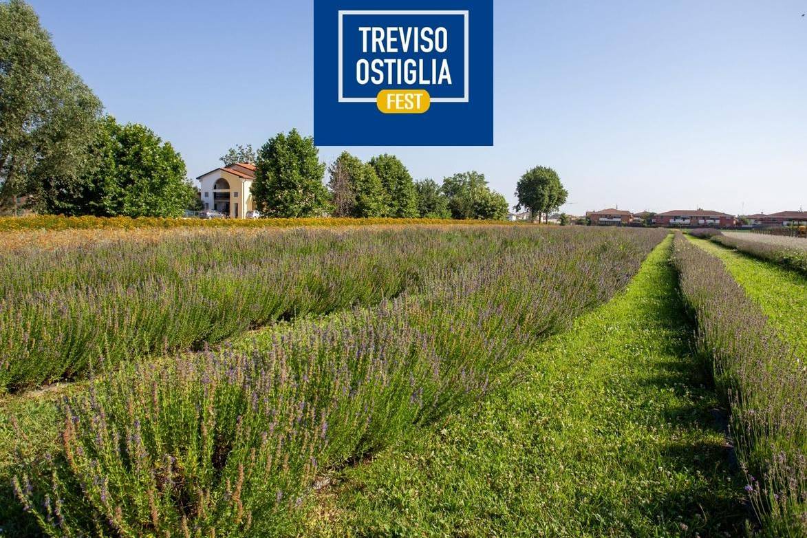 Percorso tra i cereali antichi e le erbe aromatiche