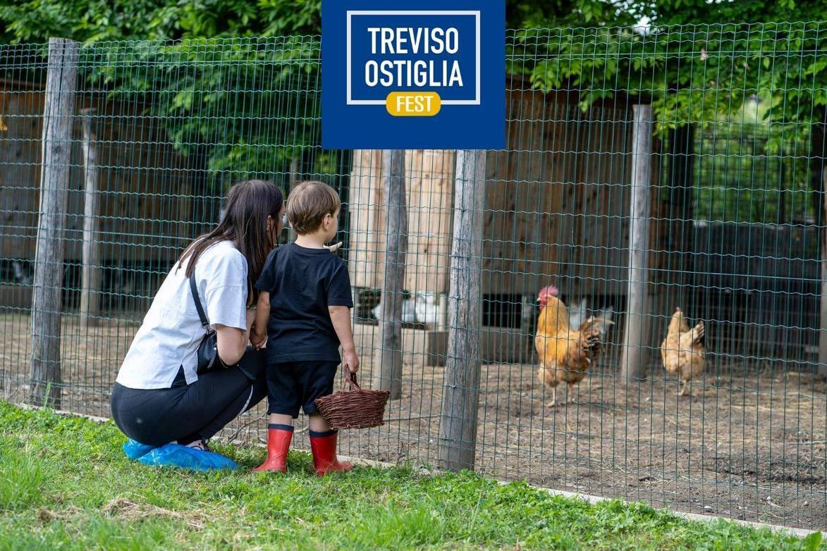 Galline Merendine a Ca' de Memi