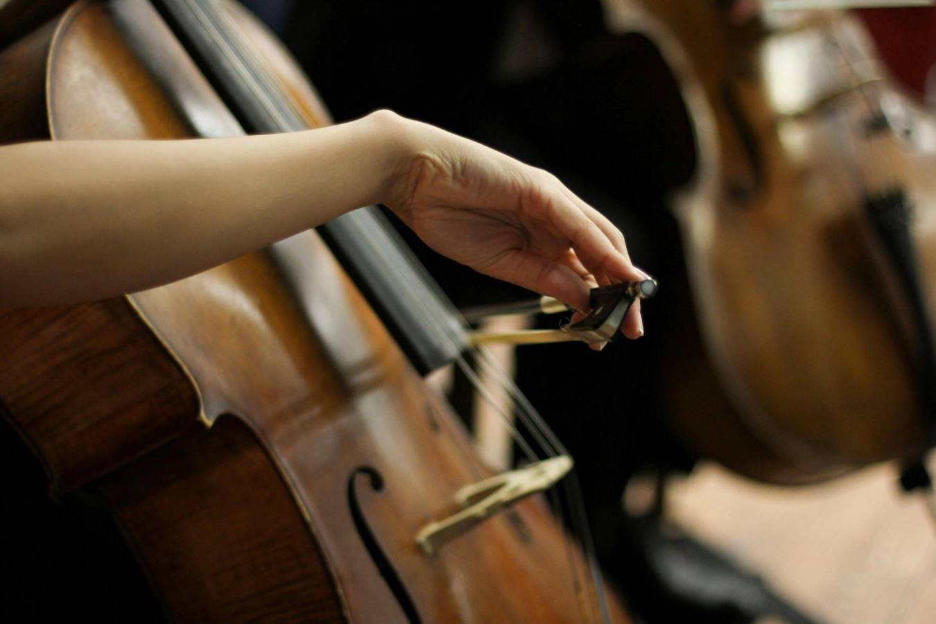 FESTA INTERNAZIONALE DELLA MUSICA – ANTEPRIMA GIOIE MUSICALI