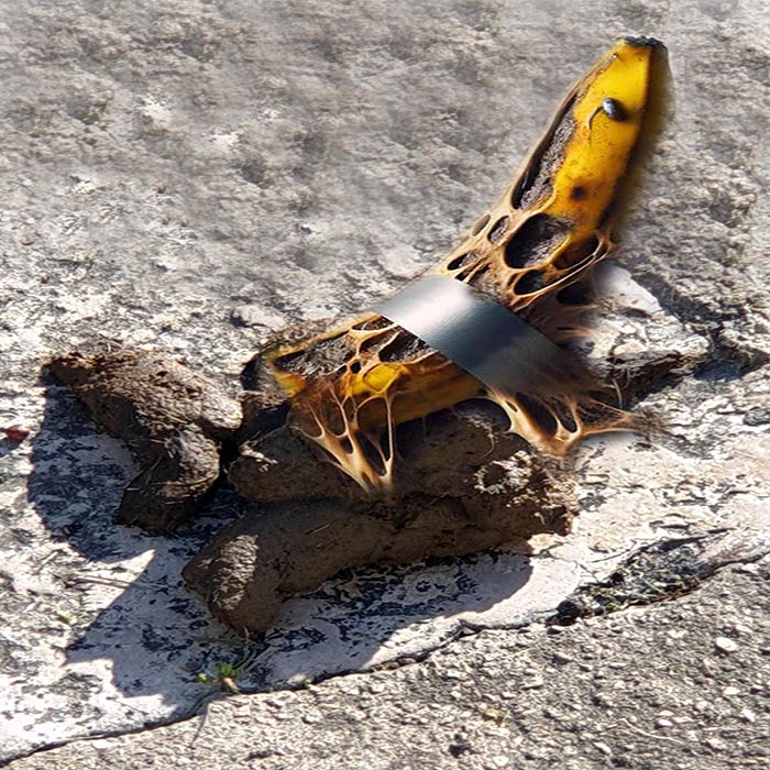 “Conceptual Poop Art” di Giorgio De Cesario ne La Casa degli Artisti
