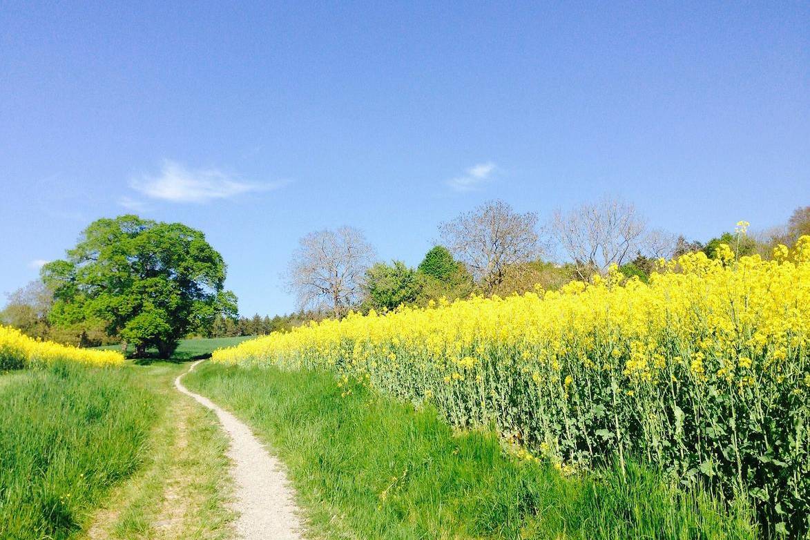Quattro passi per il Giubileo