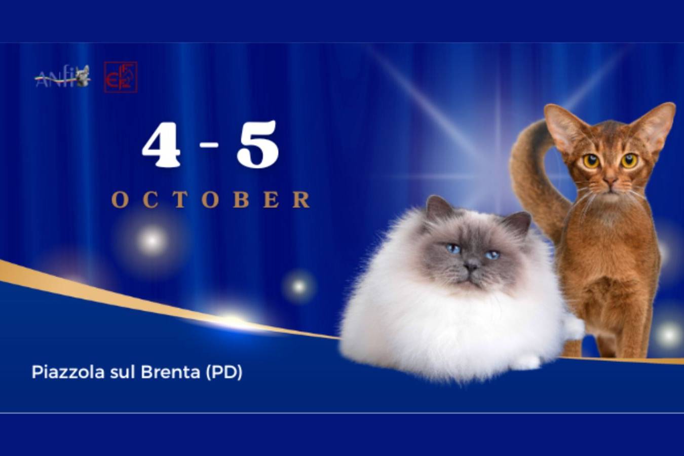 MOSTRA FELINA INTERNAZIONALE