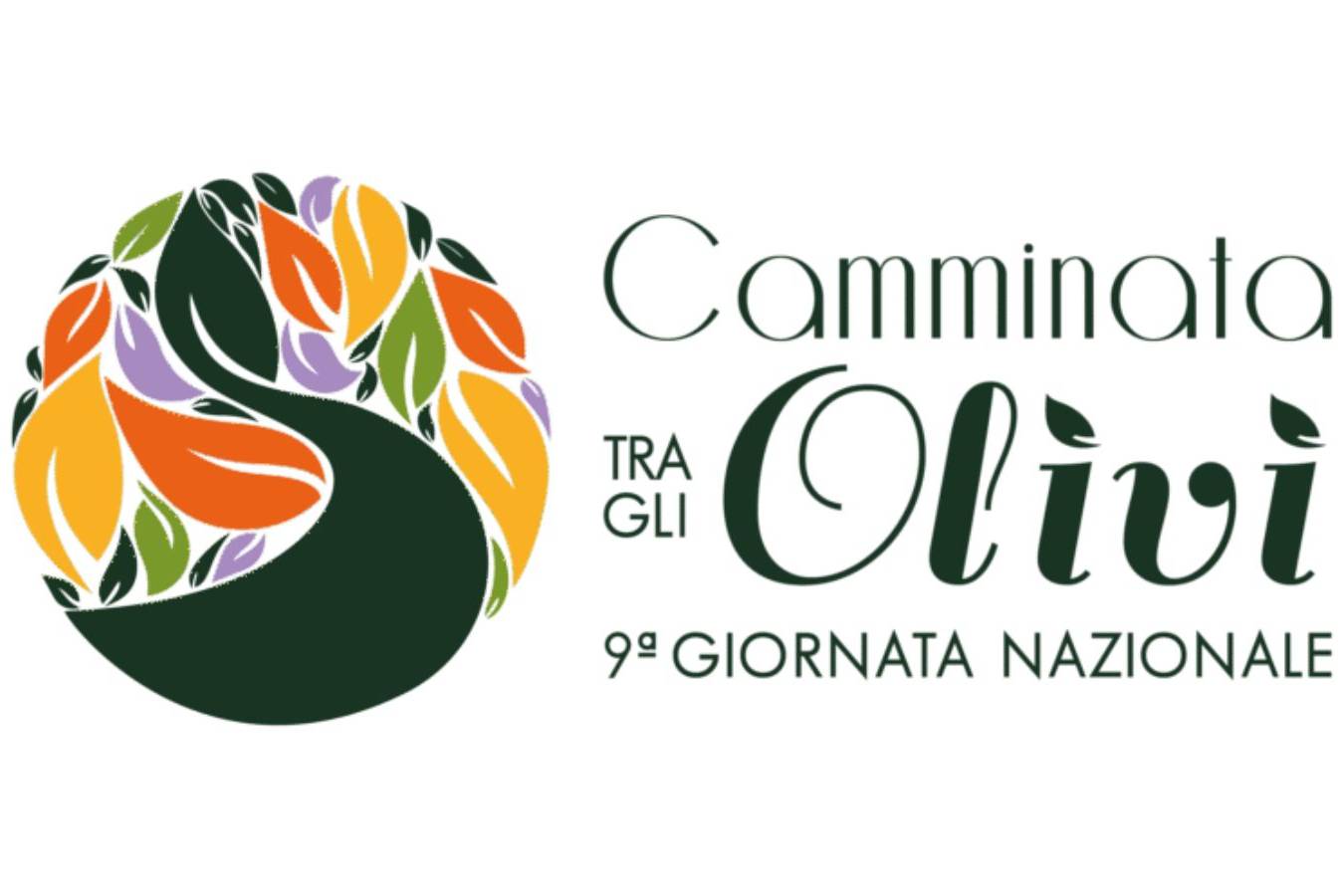 Camminata fra gliulivi