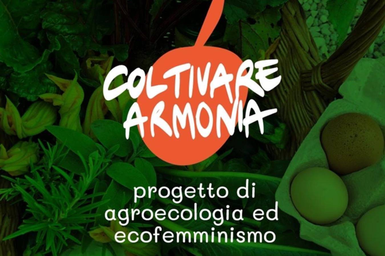 Lettura del paesaggio