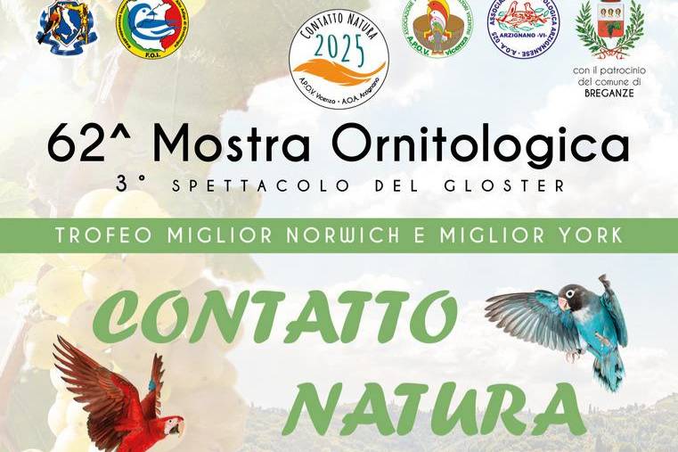62^ Mostra Ornitologica e 3° spettacolo del Gloster