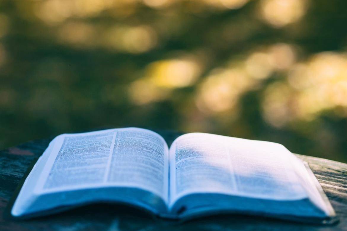 Rassegna Letteraria 25/26 - "Sarebbe bellissimo"