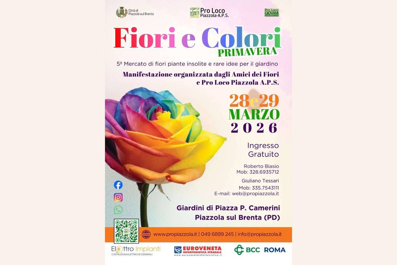 Fiori e Colori