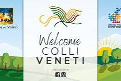 Giornata Regionale Colli Veneti 2026