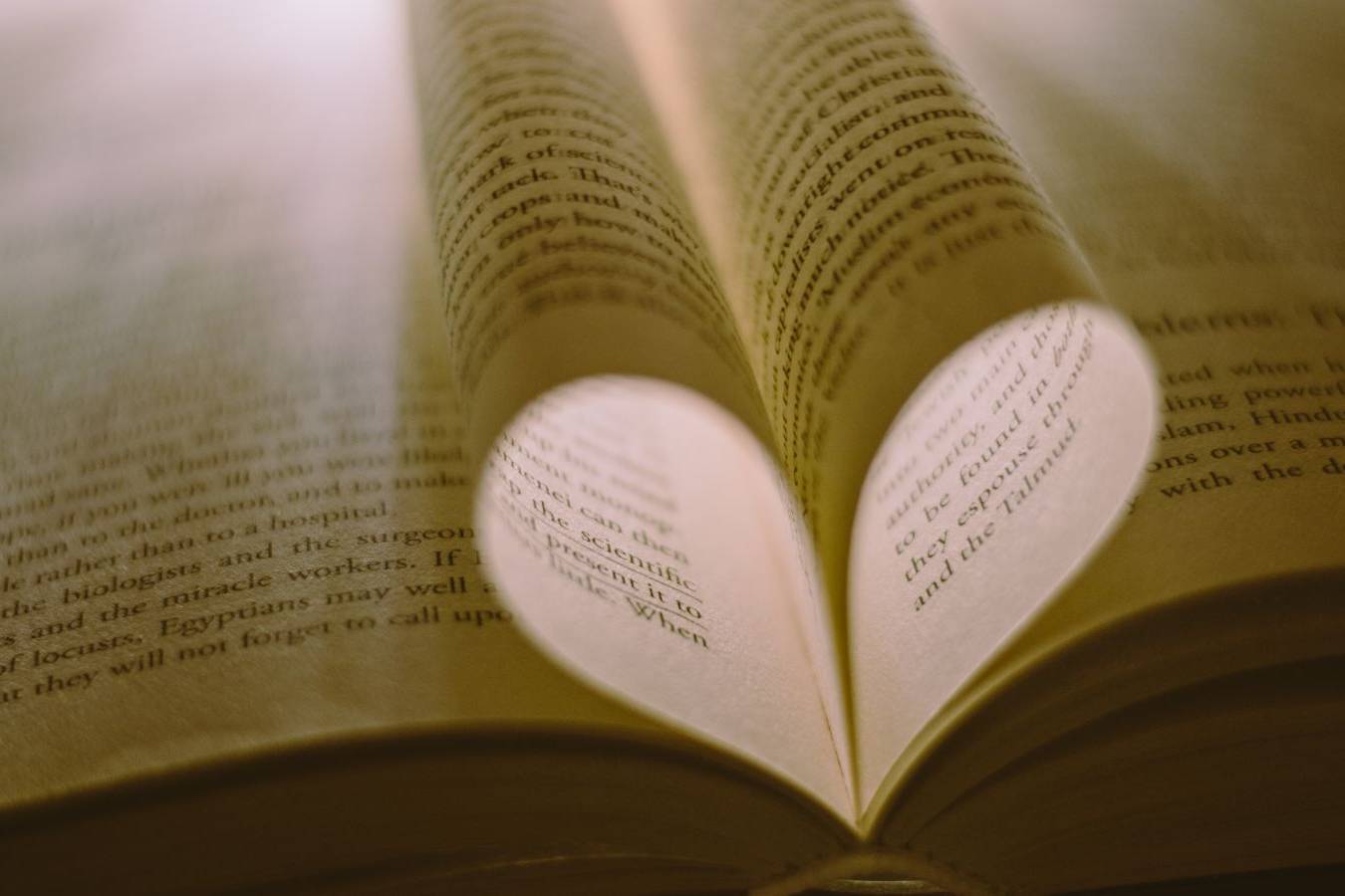 PETALI DI PAROLE – FESTIVAL LETTERARIO