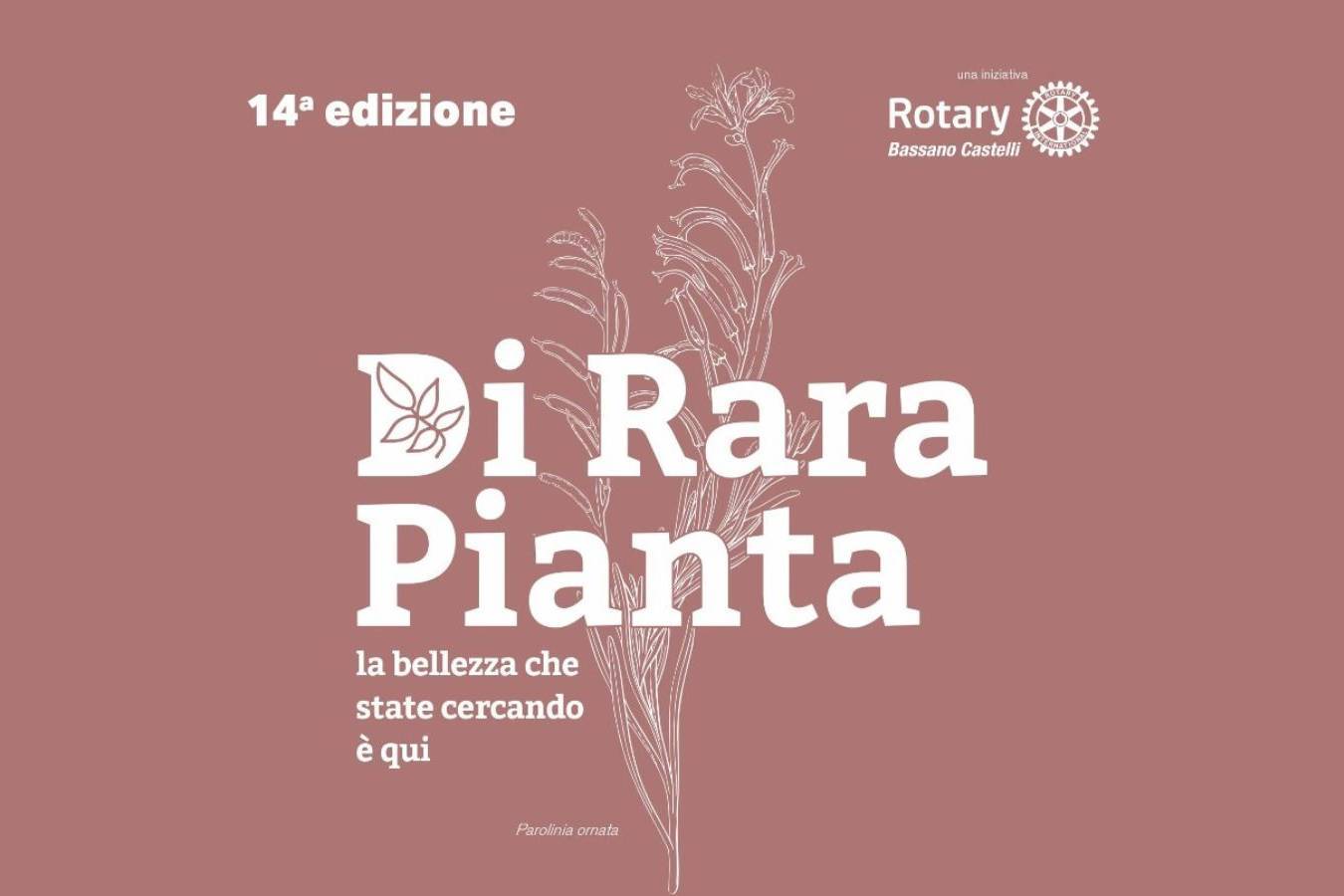 Di Rara Pianta