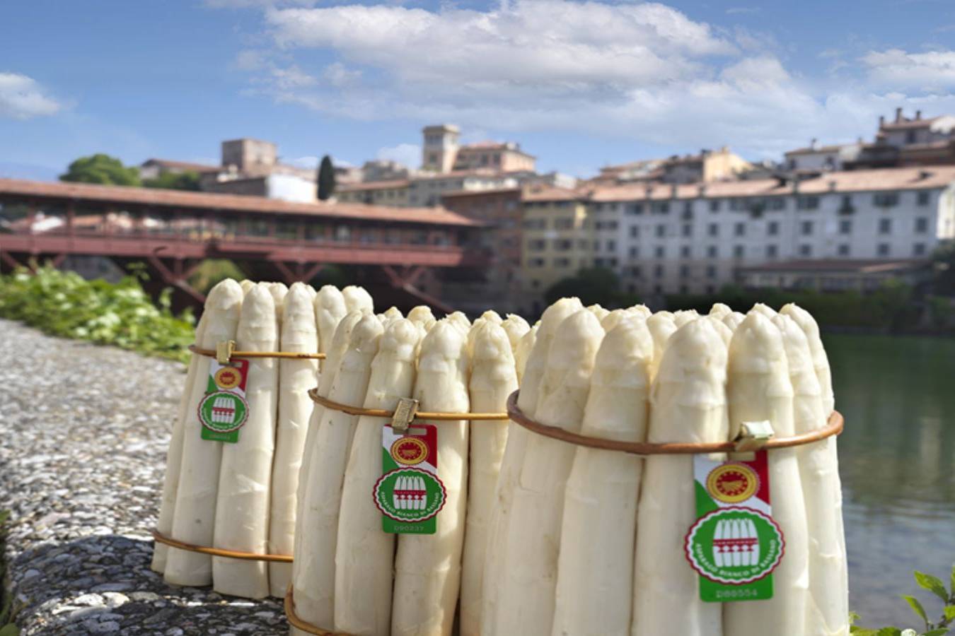 Mostra dell'asparago