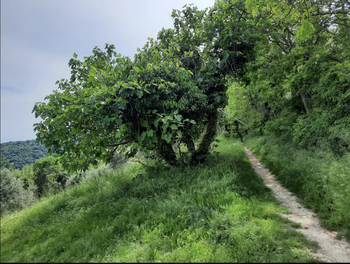 Magna & Pedala 2026 — 30° Anniversario EsteBike