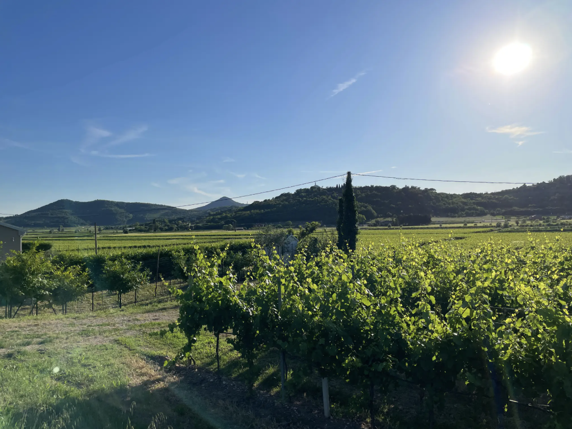 Magna & Pedala 2026 — 30° Anniversario EsteBike