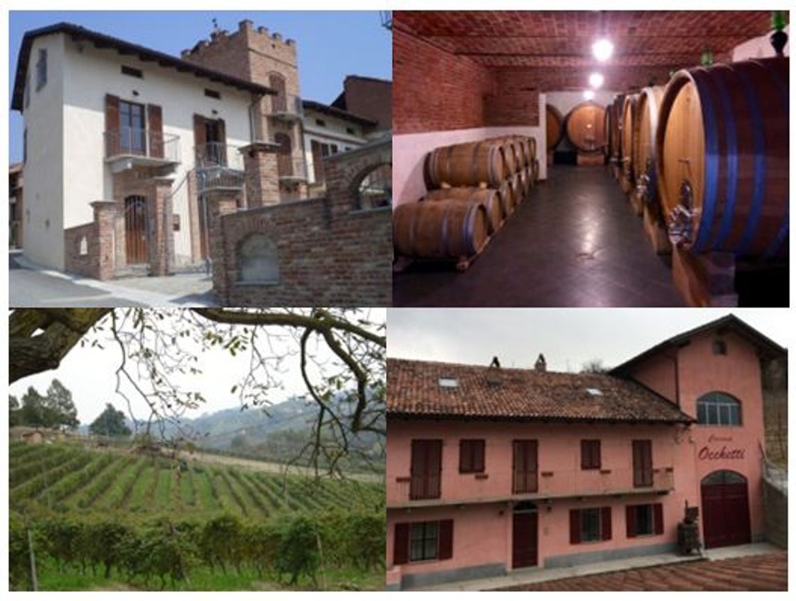 PODERI MORETTI  visita cantina e degustazione pregiati vini Langhe Roero