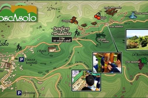 BoscAsolo. Il taccuino del Naturalista. Alla scoperta di erbe, piante e abitanti del bosco.