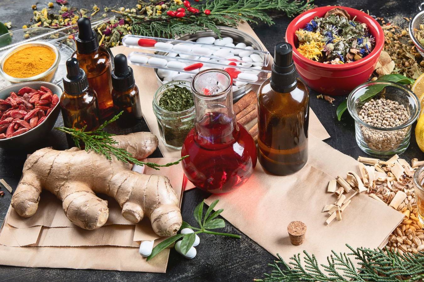 A cosa serve un orto botanico nel 2026?