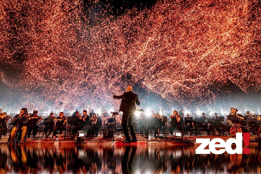 Gli imperdibili show di settembre e di tutto il 2026 in veneto!