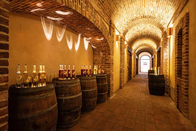 Poli Distillerie - old cellar