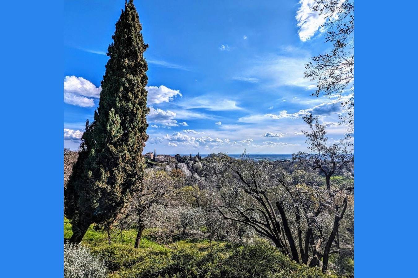 La via dell'olio