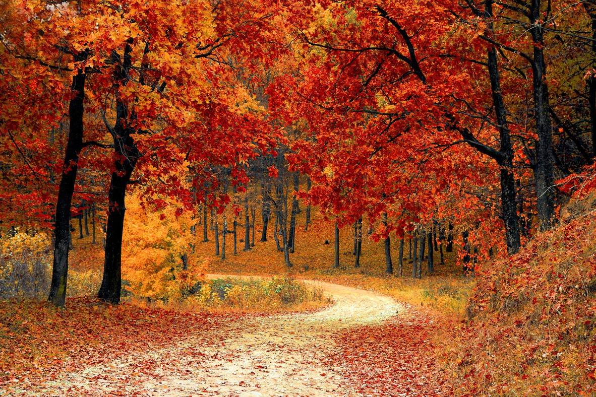 Passeggiate d'autunno