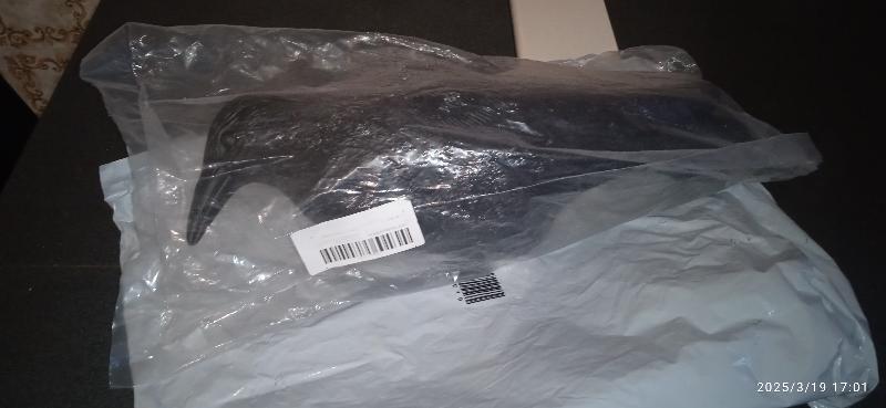 corvo finto scacciapiccioni