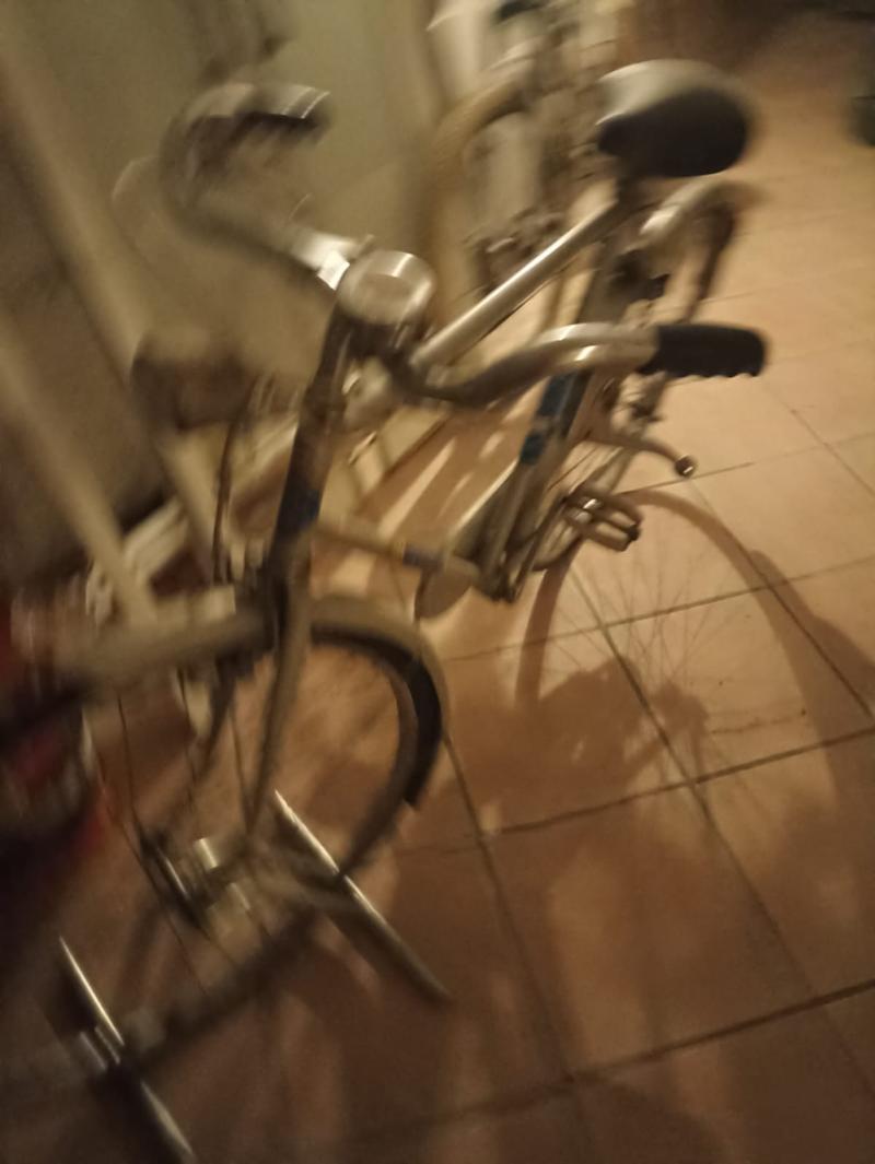 Bicicletta da uomo