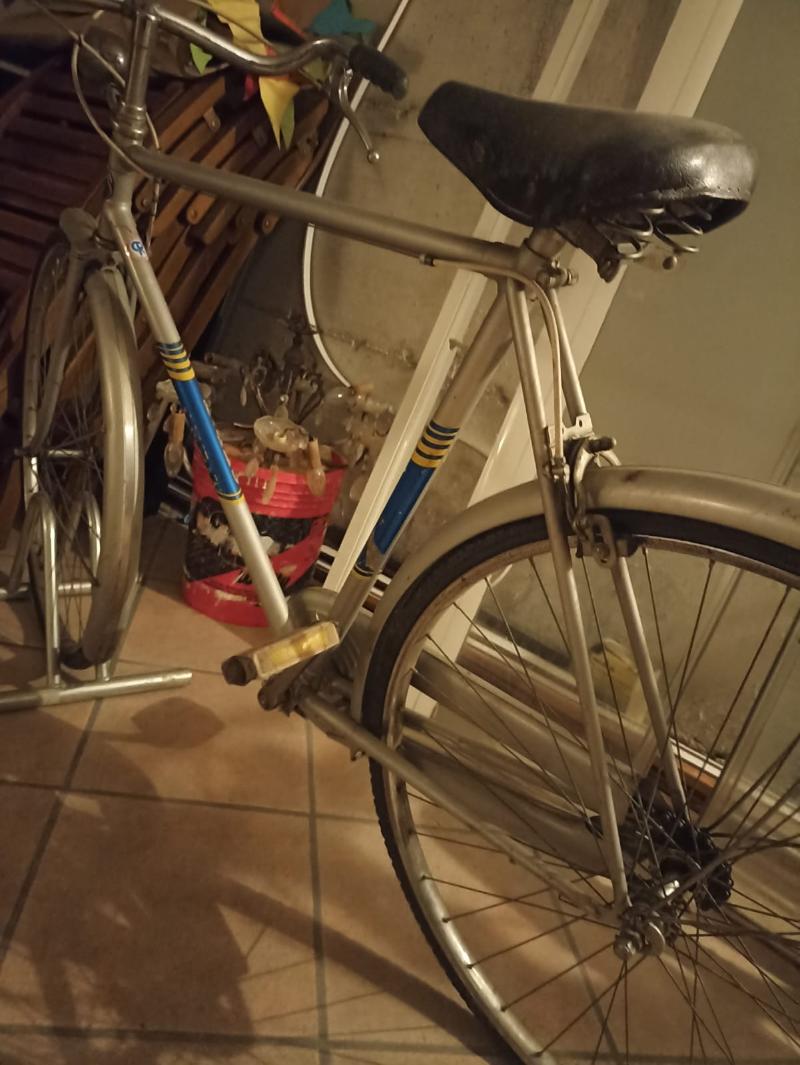 Bicicletta da uomo