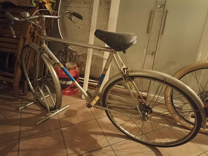 Bicicletta da uomo