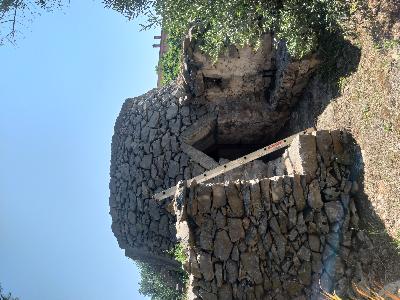 villetta immersa nel verde in Salento