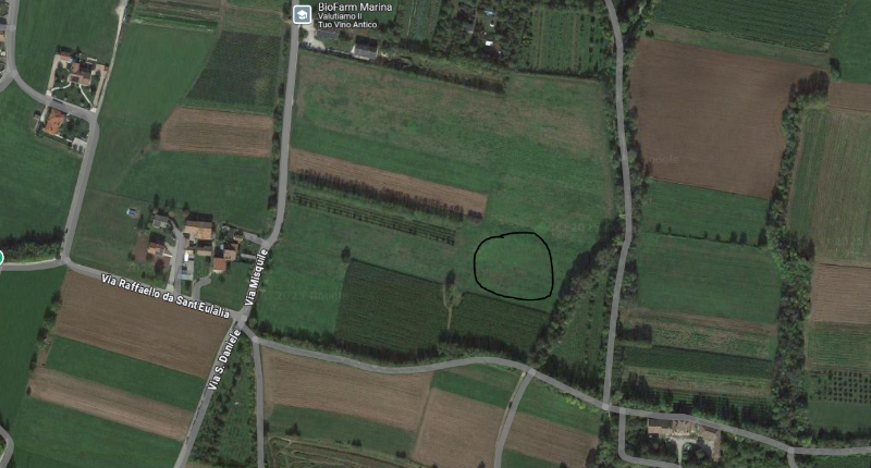 Vendesi terreno agricolo - Borso del Grappa