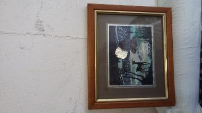 5 BELLE STAMPE COLORATE