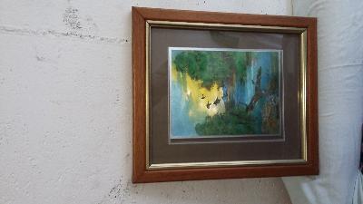 5 BELLE STAMPE COLORATE