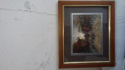 5 BELLE STAMPE COLORATE