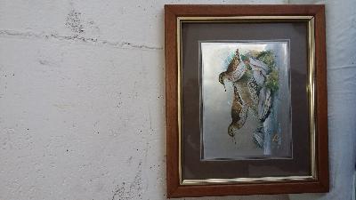 5 BELLE STAMPE COLORATE