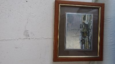 5 BELLE STAMPE COLORATE