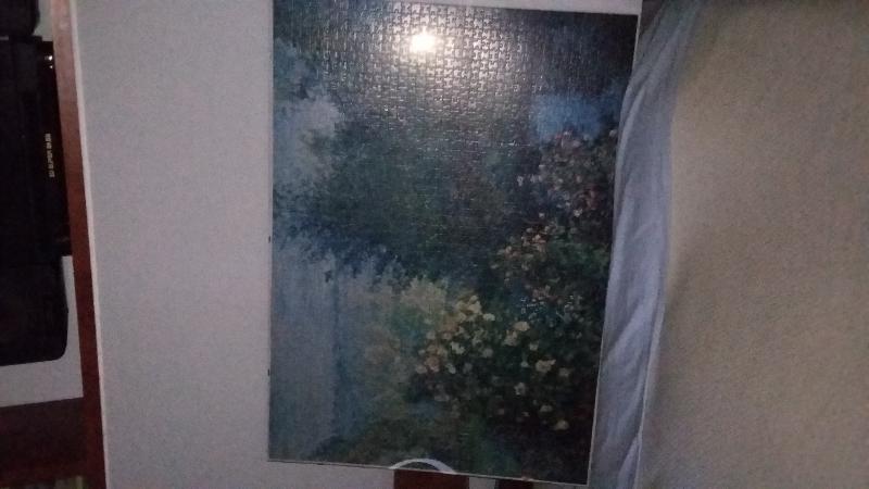 GRANDE PUZZLE, COPIA DI RENOIR